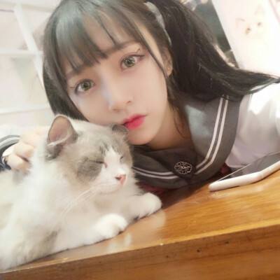 征服吧主公手游公益服下载